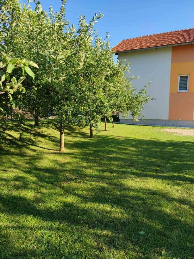 Una National Park Apartment Bihać Buitenkant foto
