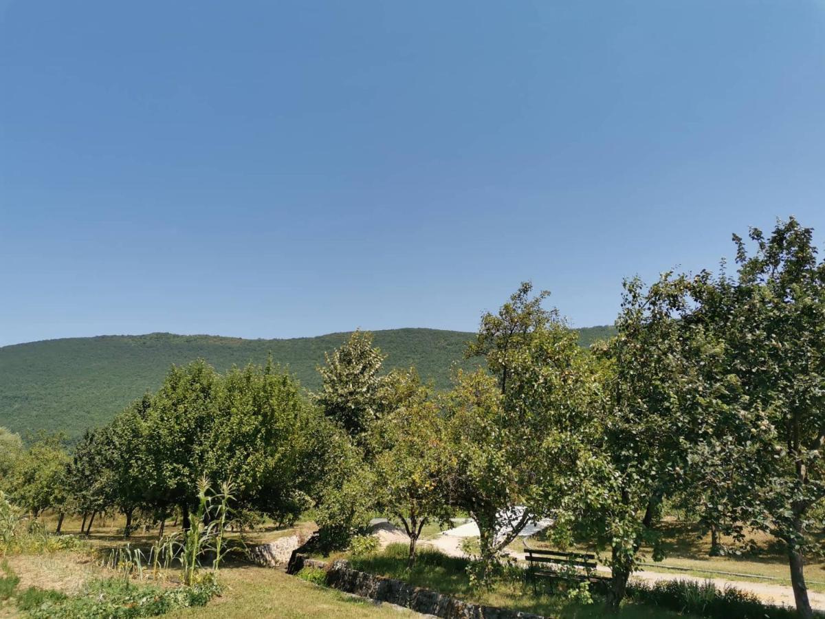 Una National Park Apartment Bihać Buitenkant foto