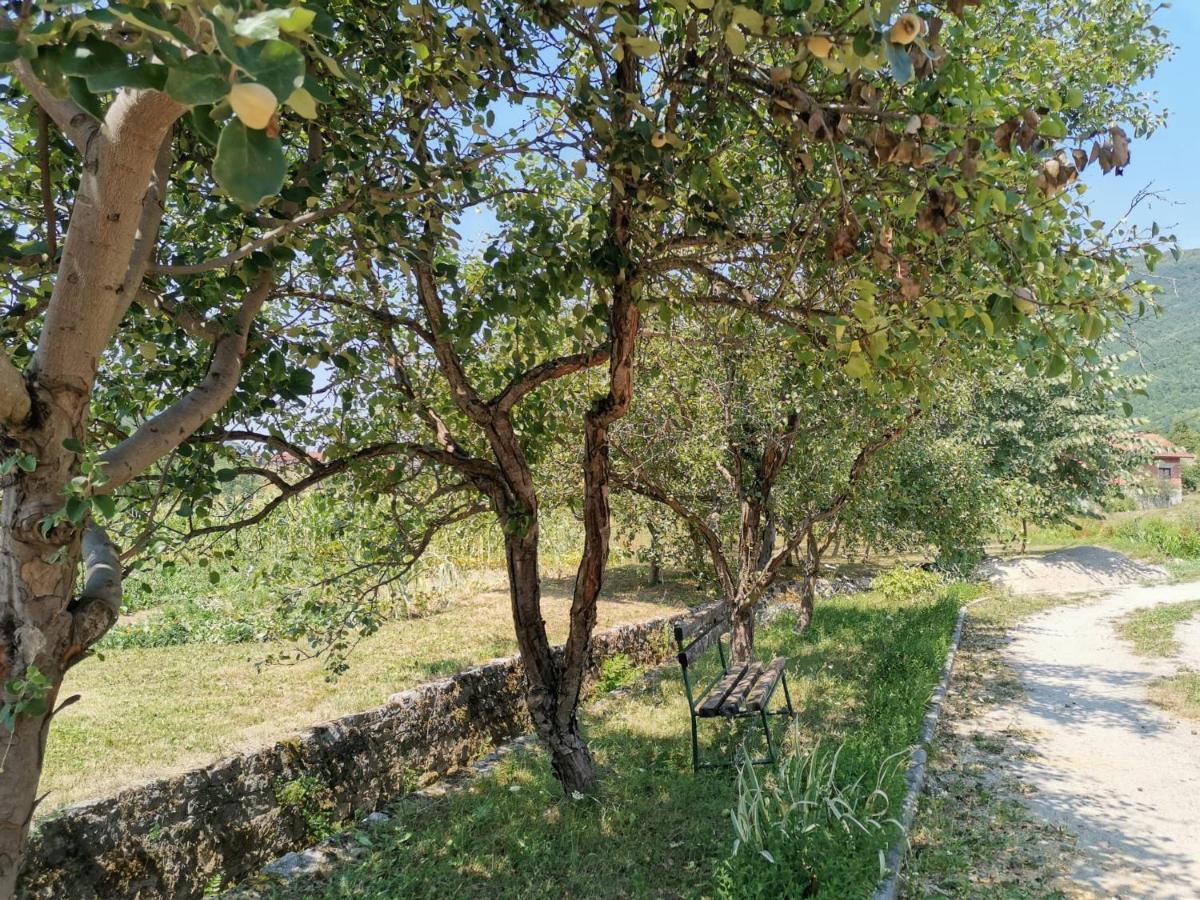 Una National Park Apartment Bihać Buitenkant foto